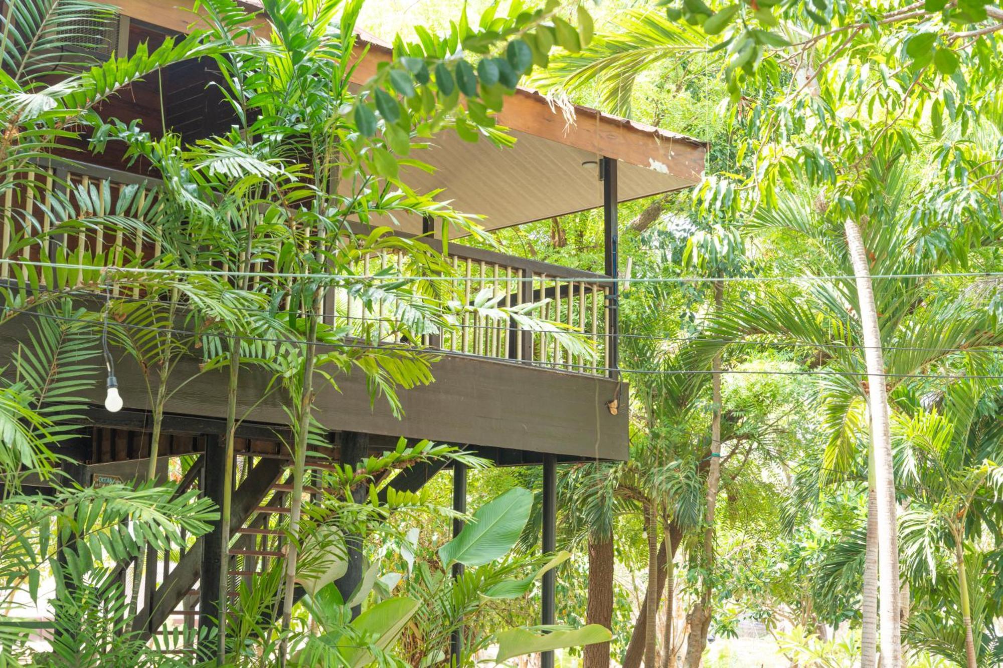 Club Serena Resort Moalboal Extérieur photo